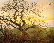 Caspar David Friedrich The Tree of Crows Spain oil painting reproduction